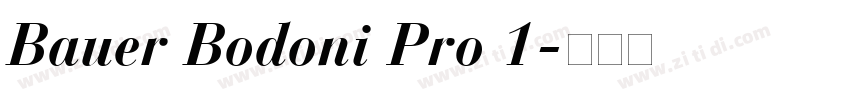 Bauer Bodoni Pro 1字体转换